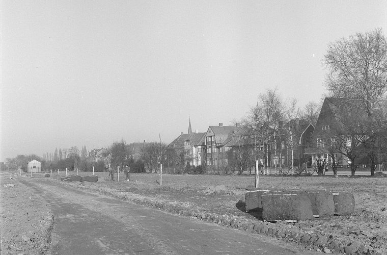 Julianapark in Venlo, een groen parkgebied met bomen en water voor een ontspannende wandeling